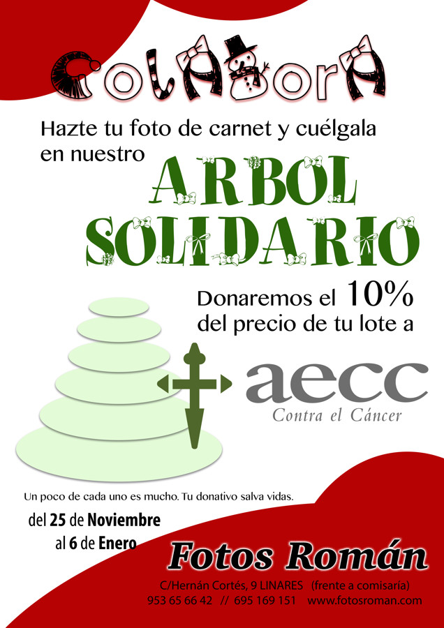 CARTEL SOLIDARIO FOTOSROMAN